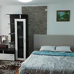 Apartment Nedovic