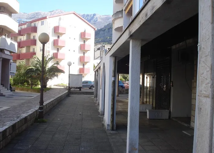 Apartment Nedovic